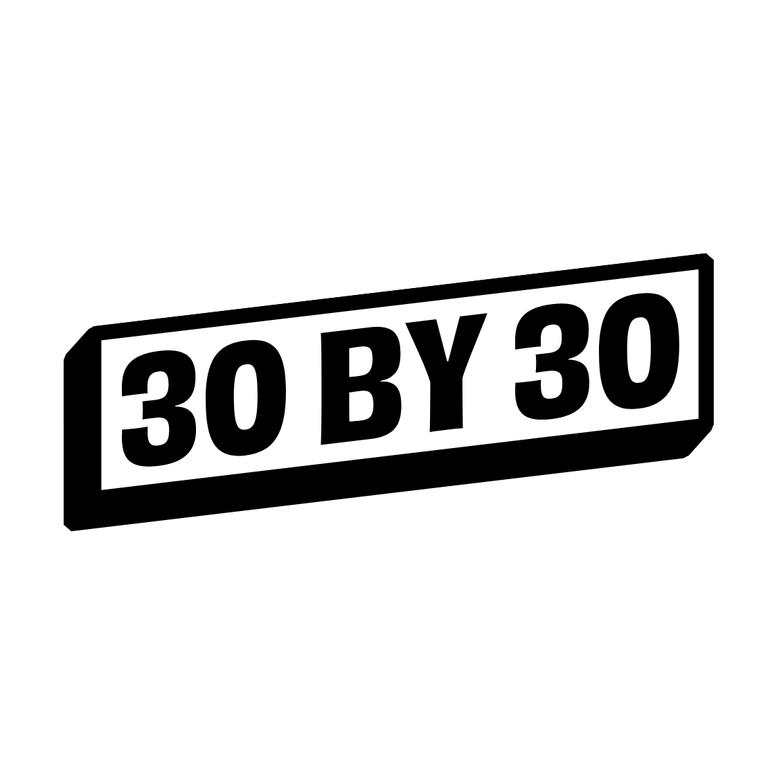 30 by 30